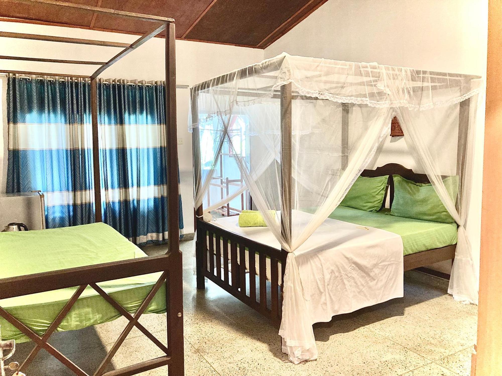 Seashore ميريسا المظهر الخارجي الصورة